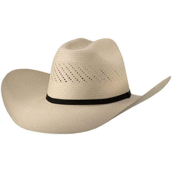 image 1zwpd8koxmp9j6h6dk88jljsed3oii9pu 2.jpeg