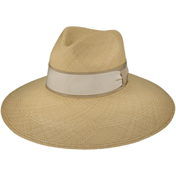 image 1iwlpg pmqbuj6ovmgqivkvyqblu tvtg.jpeg