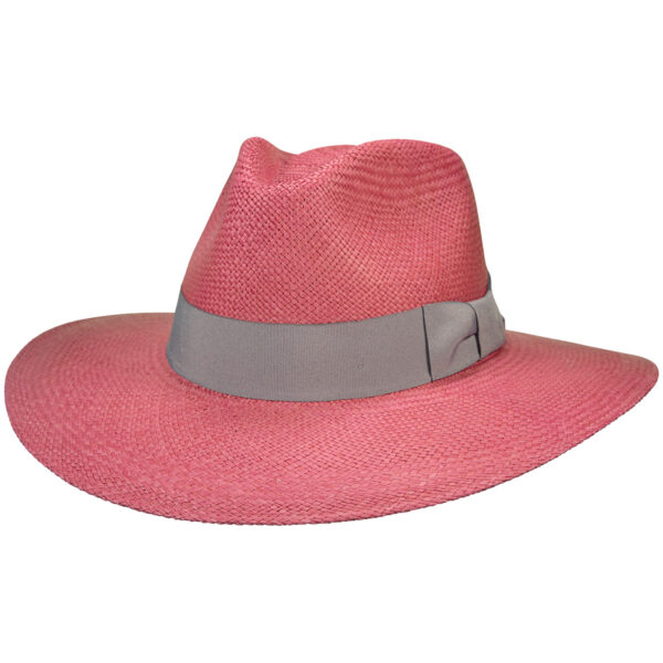 image 1ibwyrnigmu6i53h3ihoxdrnibafagyya.jpeg