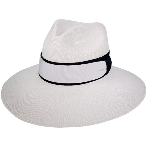 image 1c bksu1ip3vhiu5fplll5bwppzh kej1.jpeg