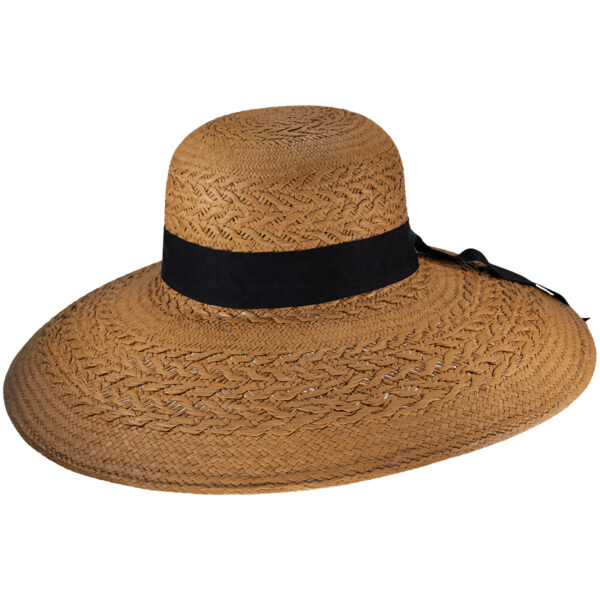 image 1peq2c64b fbwctwfwlmpufmsuxxmulne.jpeg