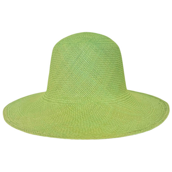 image 1xk0znbae5 nm0voe2axa g6yivsiocnu.jpeg