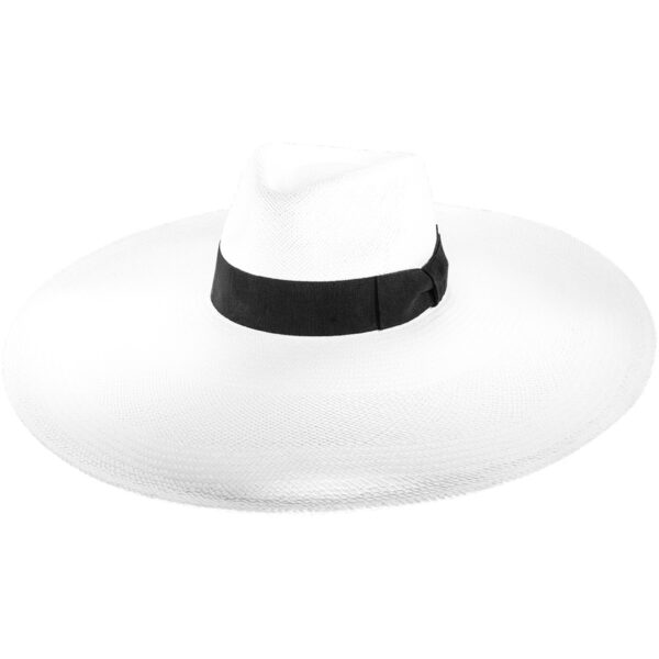 image 1quzjwnaimxe43tbayydbfrl9un6seoyb.jpeg