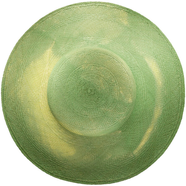 td0038030357n00 g36 a2