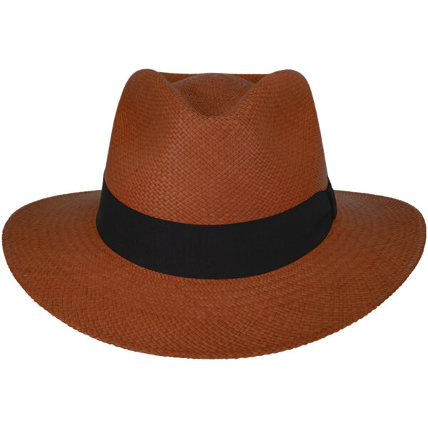 image 1tjnexzgbz4rz6krgfqssbavbr5qfj3jd.jpeg