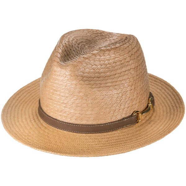 image 1rj6g1mhzdaw9lp0jo0utru 0ltlxldq2.jpeg