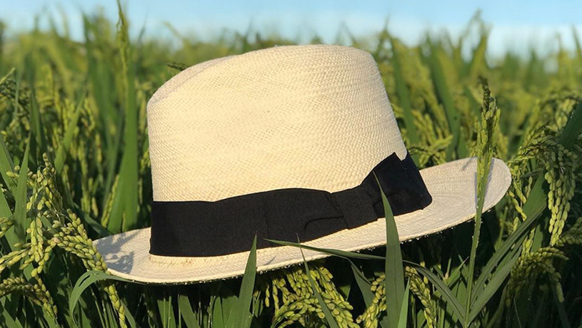 Toquilla Straw Spanish Hat – AWANA